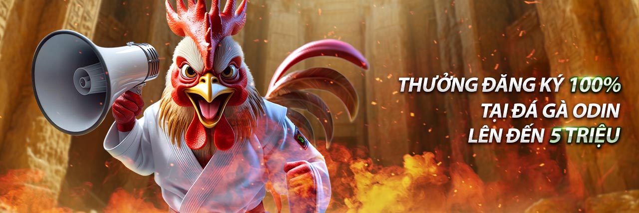 Biểu đồ quản lý vốn trong cá cược